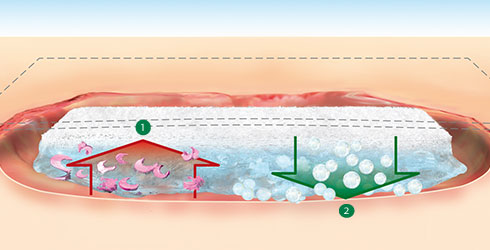 Suprasorb C | Dentimedshop.cz